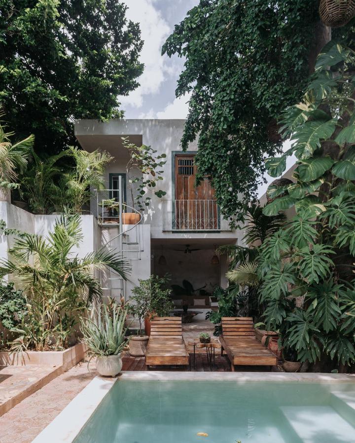 Casa Mezcla - Bed & Breakfast 梅里达 外观 照片